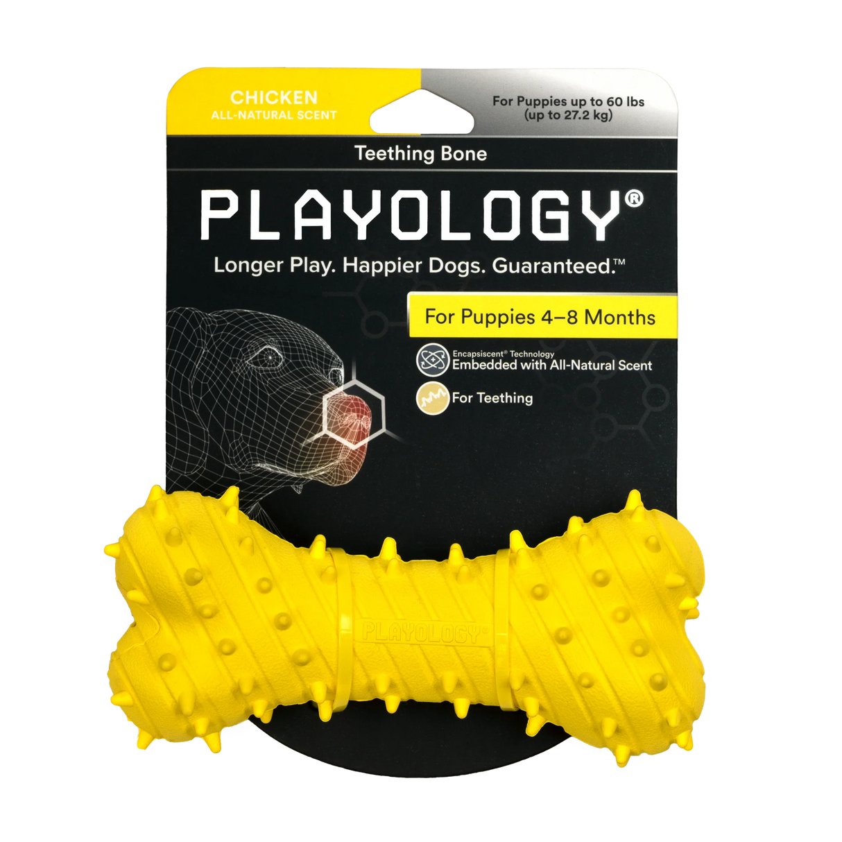 פּלייַאָלאָגיע הונט שפּילצייג ציינווייטיק ביין פֿאַר פּאַפּיז - הינדל שמעקן