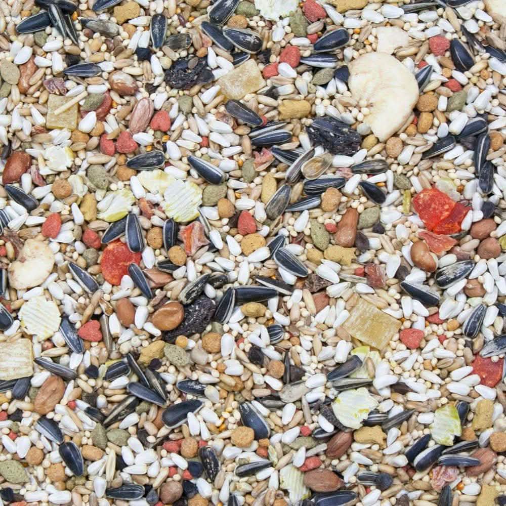 Higgins Vita Seed Conure & Lovebird