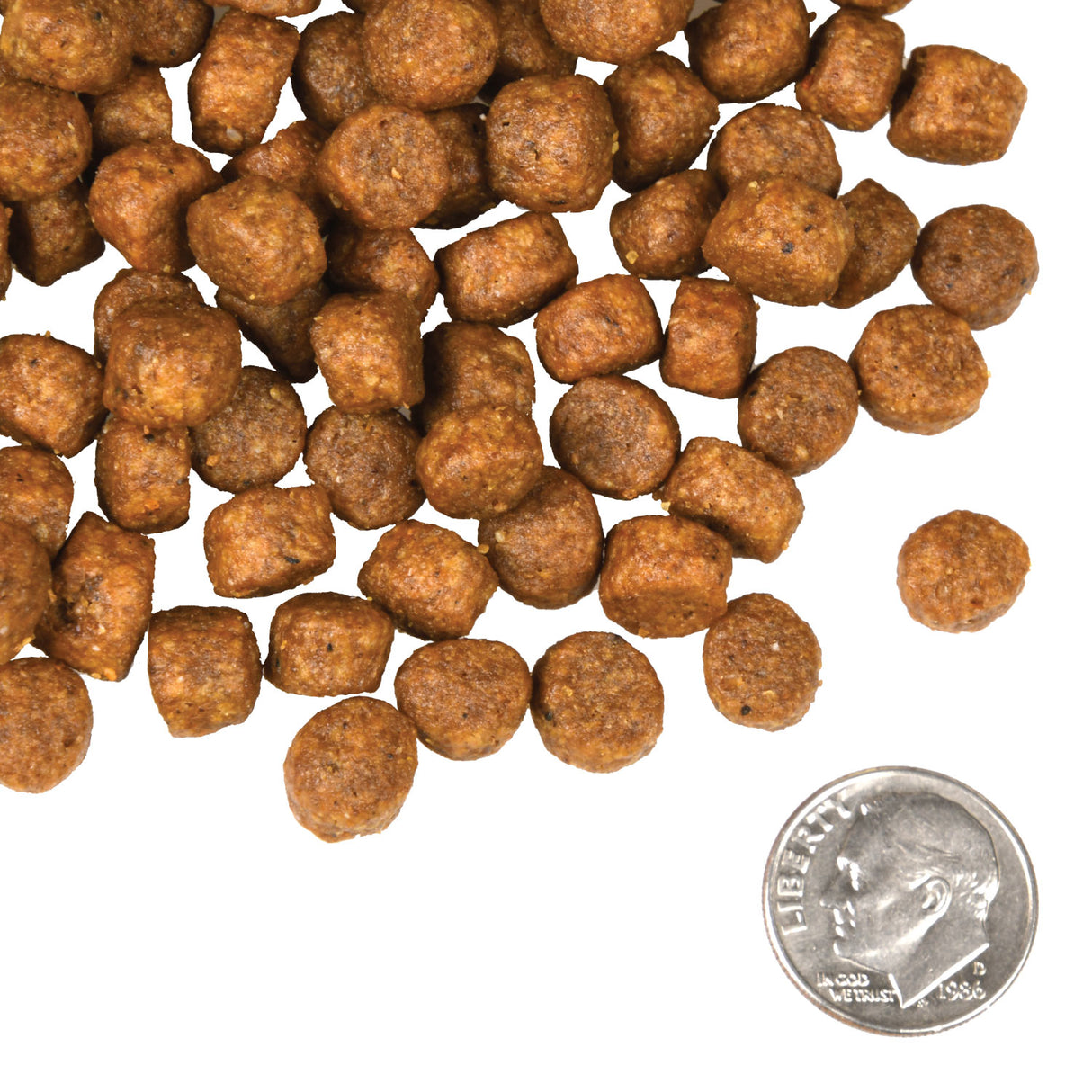 Tortilla de carne de res de cuatro estrellas de Fromm D, 12 libras