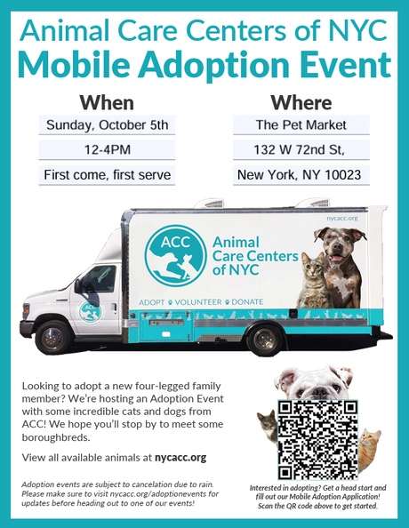 ACC NYC Mobile Adoption – Sunday October 5th, 2025 12–4 PM