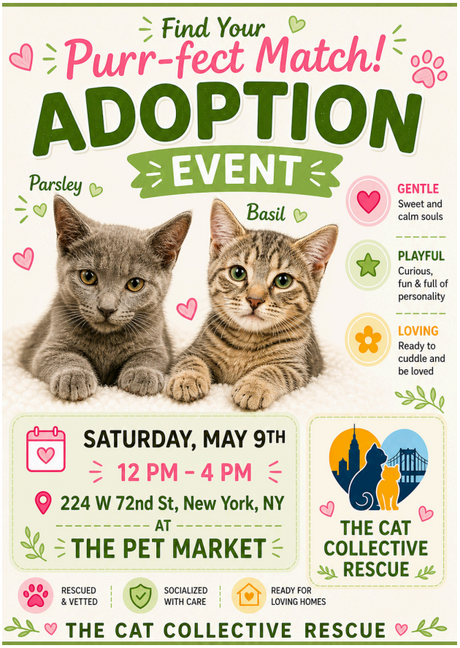 Cat Adoption Event - May 9th, 2026 12pm-4pm at the 224 W72nd St Pet Market Location