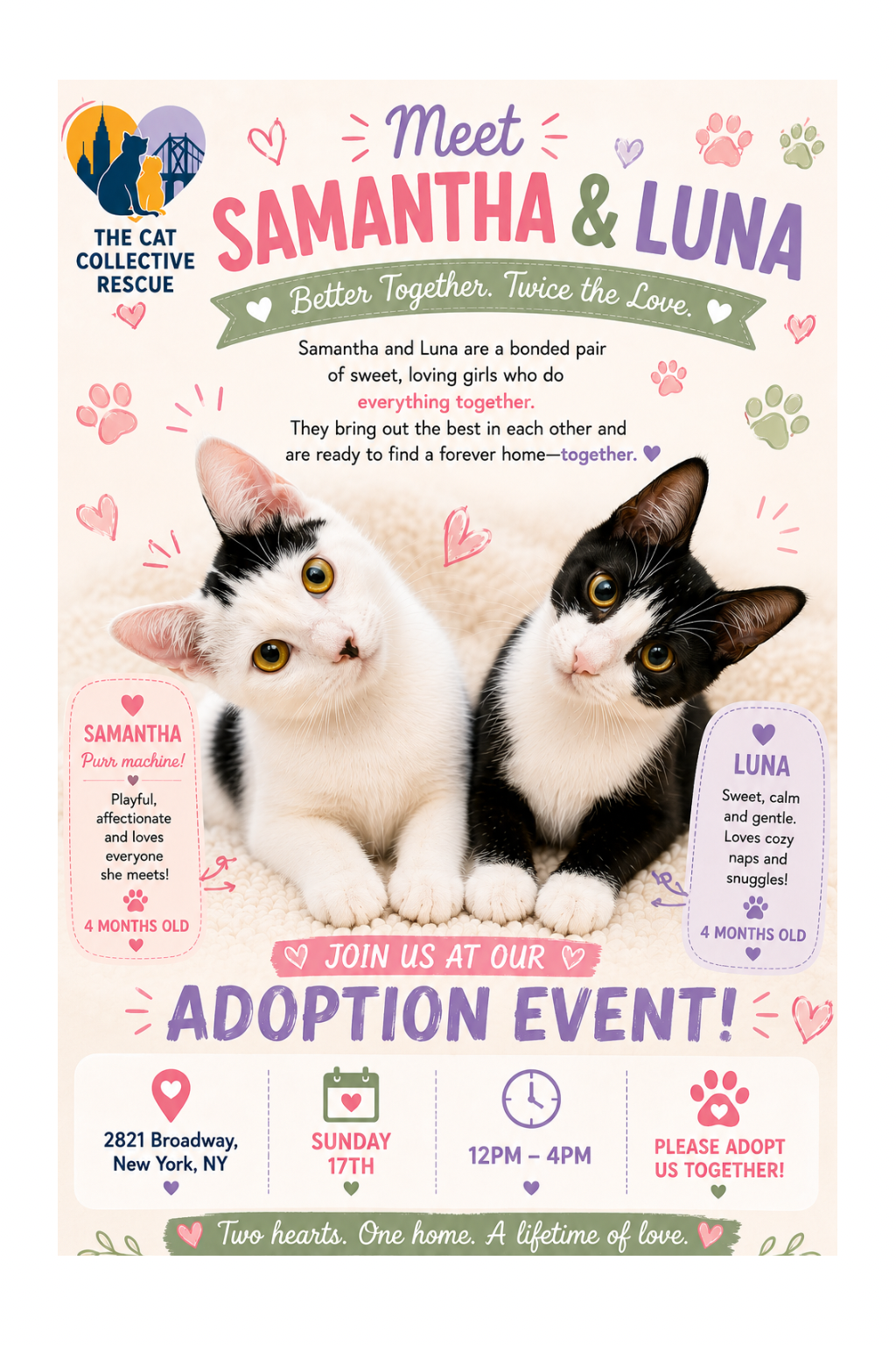 Cat Adoption Event - May 17th, 2026 12pm-4pm at the 2821 Broadway Pet Market Location