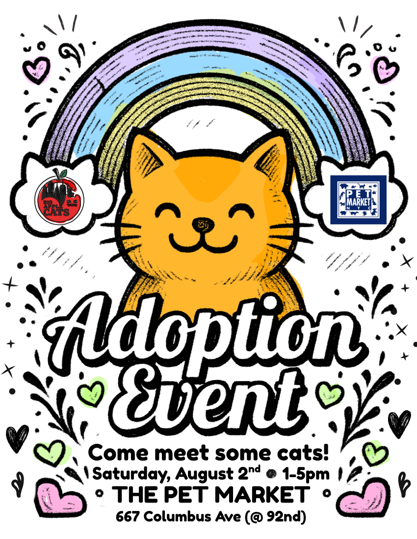 😺 Cat Adoption Event This Weekend! 😺