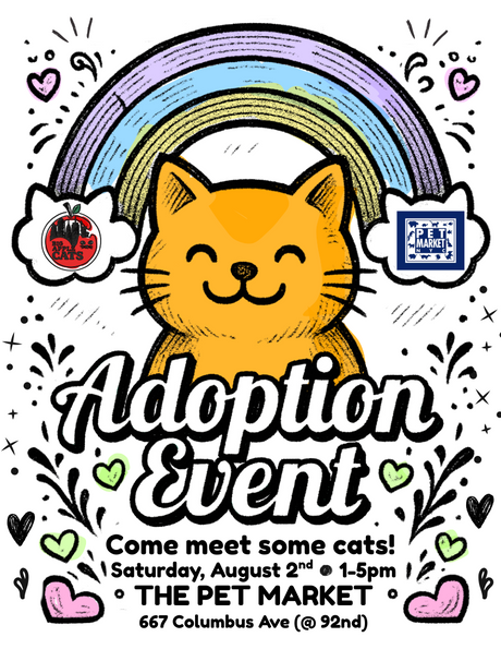 😺 Cat Adoption Event This Weekend! 😺
