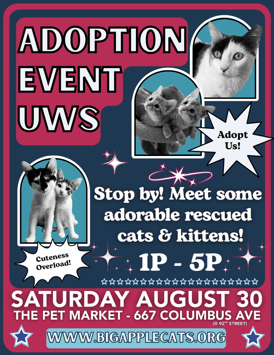 🐾 Cat Adoption Event Sat Aug. 30th – Upper West Side! 🐾