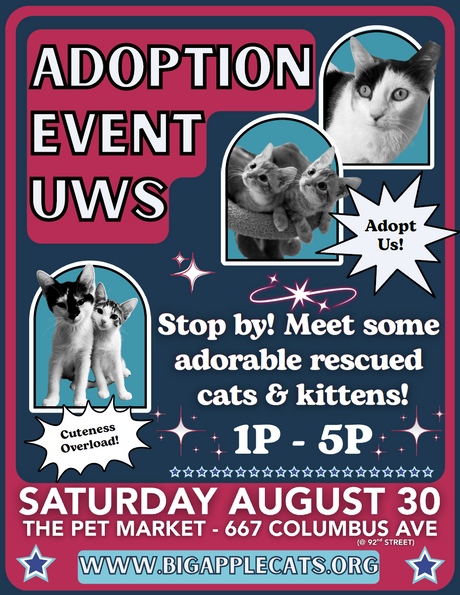 🐾 Cat Adoption Event Sat Aug. 30th – Upper West Side! 🐾
