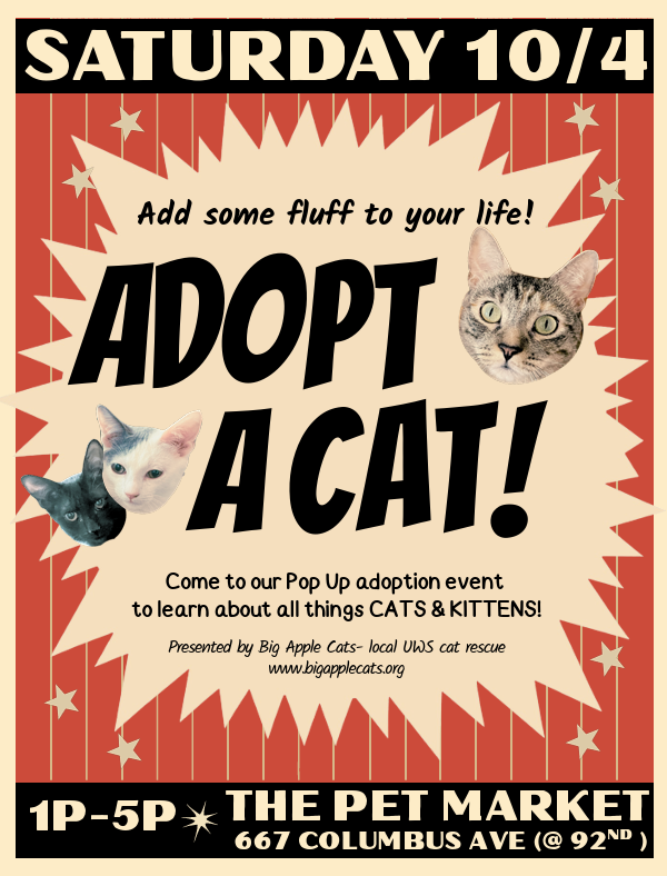 Adopt A Cat - Big Apple Cats Rescue Pop Up Event at The Pet Market - Sat 10/4/25 1pm-5pm