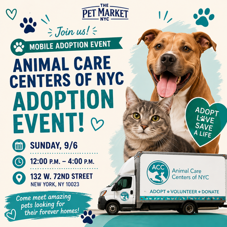 Do not miss this adoption event!