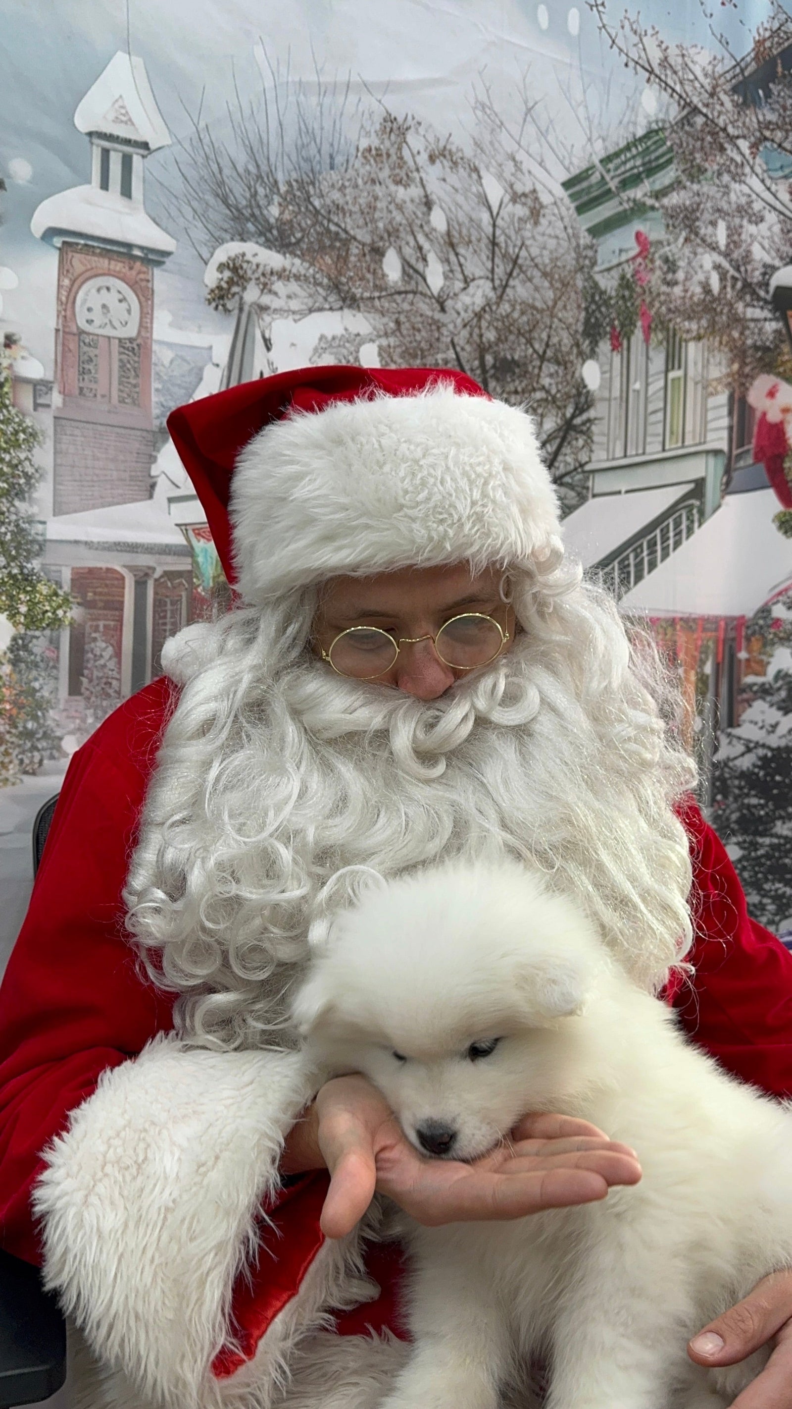 Santa Paws Returns for a Festive Pet Photo Celebration