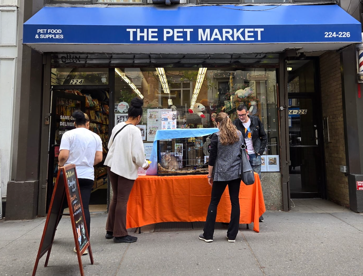 Meet Our Local NYC Rescue Partners.