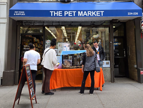 Meet Our Local NYC Rescue Partners.