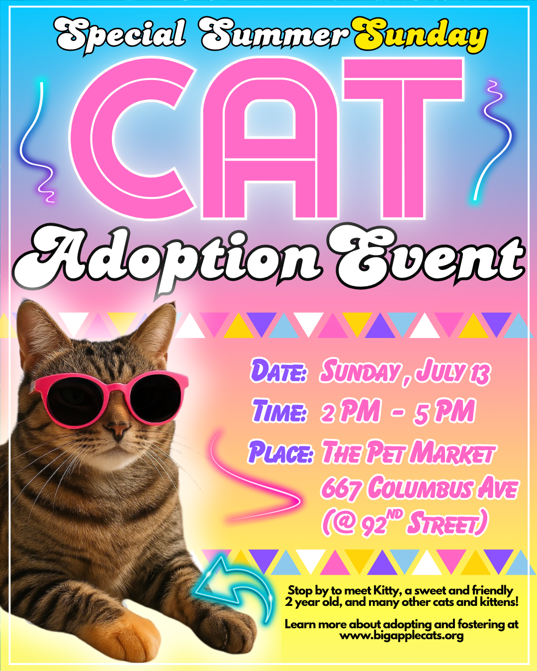 Summer Rescue Special Summer Sunday July 13th Cat Adoption Event – Pet Market NYC