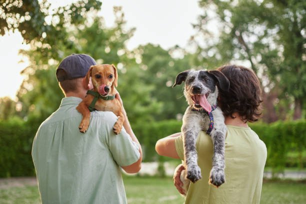 Change a Pet's Life Day