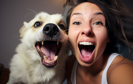 National Pet Dental Health Month is February!