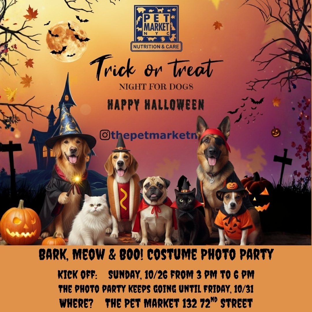 Trick or Treat Night for Dogs