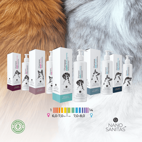 Silver & Gold Pet Care Revolution: How NanoSanitas™ Delivers Healthier Skin and Fur