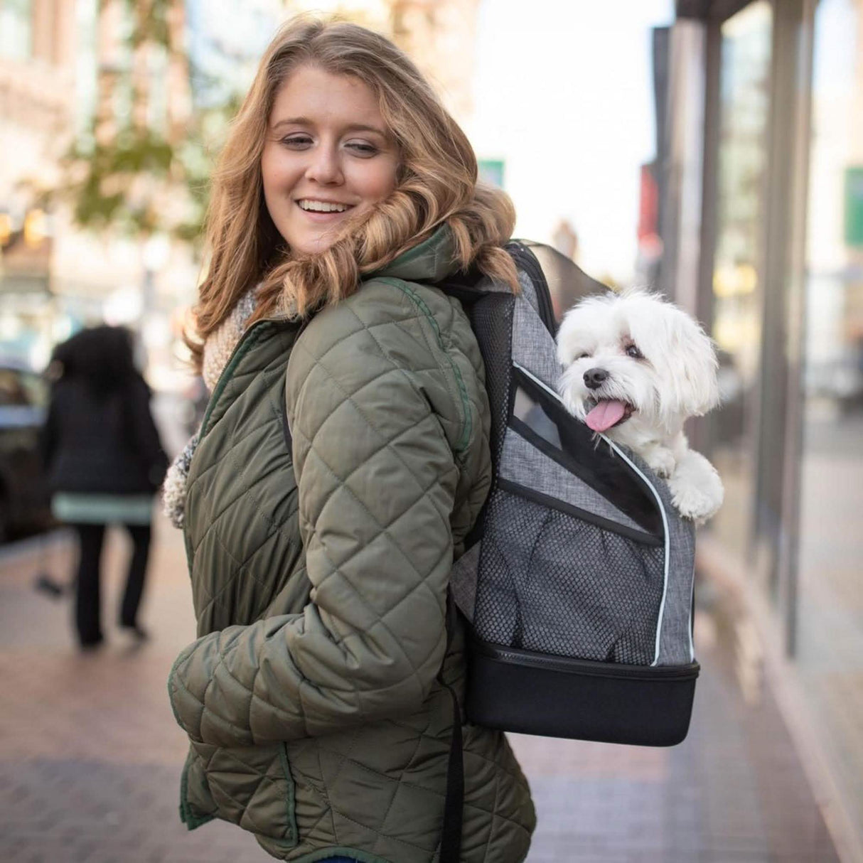 Bergan Small Pet Carrier Backpack in Heather Grey, Size 11.5L x 9W x 17.5H