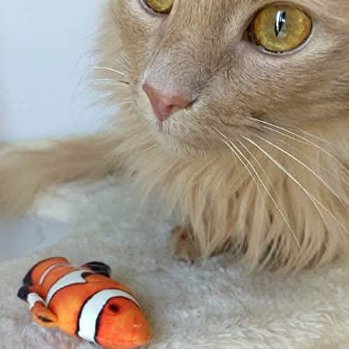 Huxley & Kent Kittybelles Clownfish Cat Toy