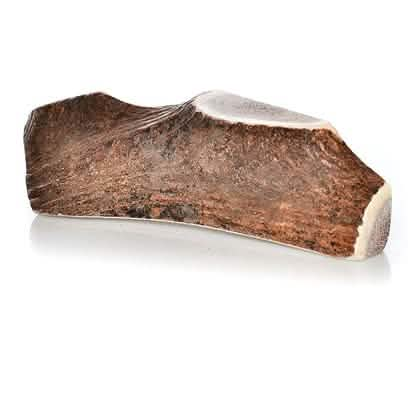 Happy Dog Of Cape Cod Elk Antler Sliced Extra Large, 1 Count