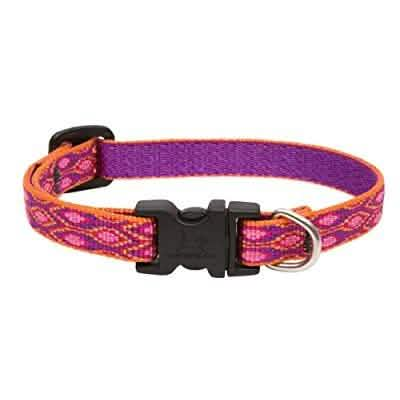 Lupine Alpen Glow Adjustable Dog Collar, 1/2 Size, 8-12 Length