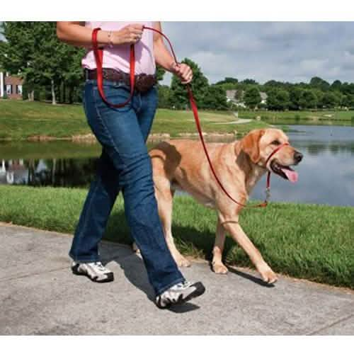 Premier Petsafe Gentle Leader Quick-Snap Buckle in Red, Large Size for Dogs