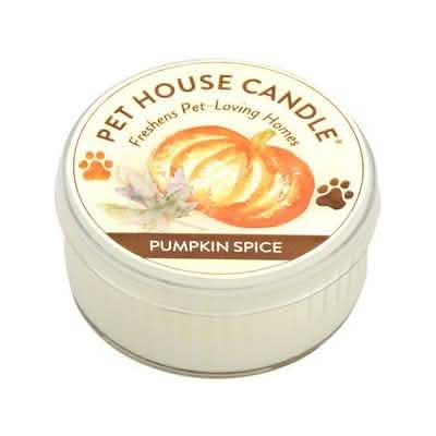 Pet House Mini Pumpkin-Spice Scented Candle Pack of 12