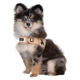 Puppia Large Egon Pattern Dog Harness in Beige