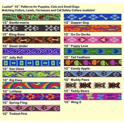 Lupine 1/2" Bling Bonz 6 Foot Leash