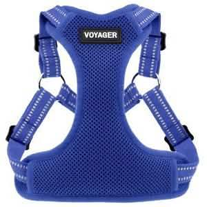 Voyager Dog Harnesses Step-In Flex Adjustable Royal Blue XL for Dogs