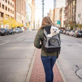 Bergan Small Pet Carrier Backpack in Heather Grey, Size 11.5L x 9W x 17.5H