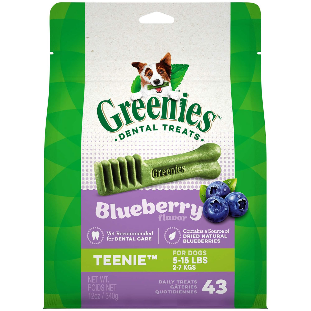 Greenies D Blueberry Teenie 12oz