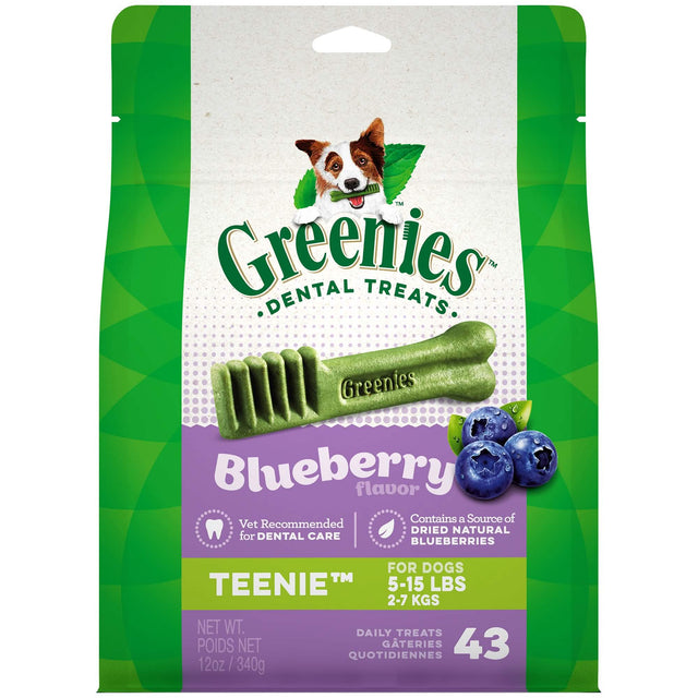 Greenies D Blueberry Teenie 12oz