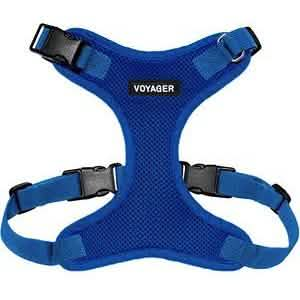 Voyager Dog Harnesses - Step In Lock Harness in Royal Blue with Trim, XS Size