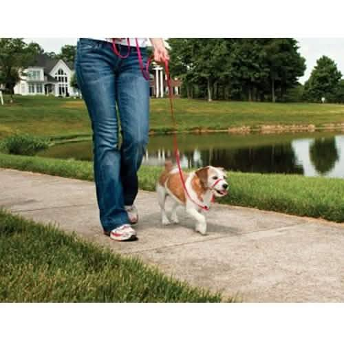 Premier Small Red Gentle Leader Quick-Snap Buckle for Dogs