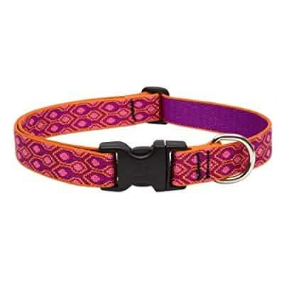 Lupine Alpen Glow Adjustable Dog Collar, 1 Inch, 12-20 Inches Size Range