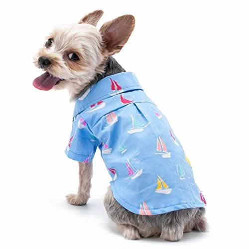 Dogo Pet Blue Summer Beach Dog Shirt, Size XL