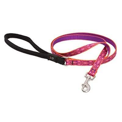 Lupine Alpen Glow 6-Foot Dog Leash with Padded Handle, 1/2 Size