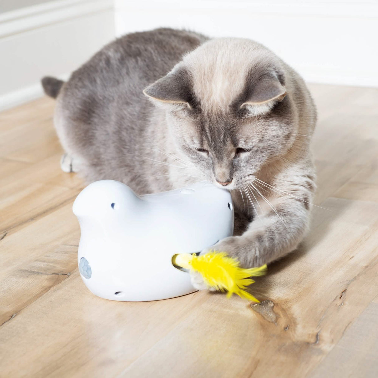 PetSafe Peek-A-Bird Electronic Cat Toy - Interactive Play for Cats