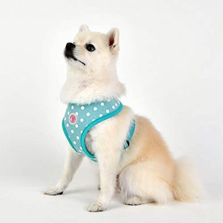 Puppia Small Size Dog Harness in Indian Mint Color