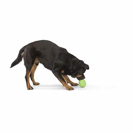 West Paw Rumbl Green Large - Premium Dog Toy