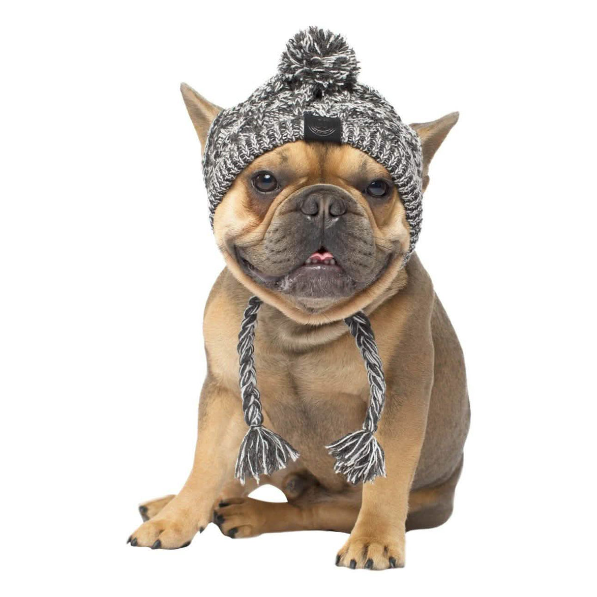 Canada Pooch Large Polar Pom Pom Dog Hat in Gray / White