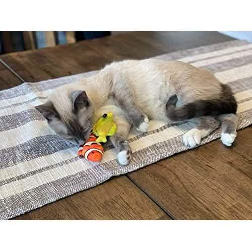 Huxley & Kent Kittybelles Clownfish Cat Toy