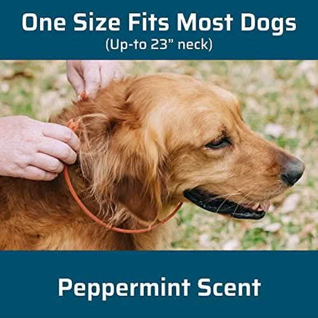 Wondercide Dog Flea Tick Collar Peppermint - Premium Brand Product