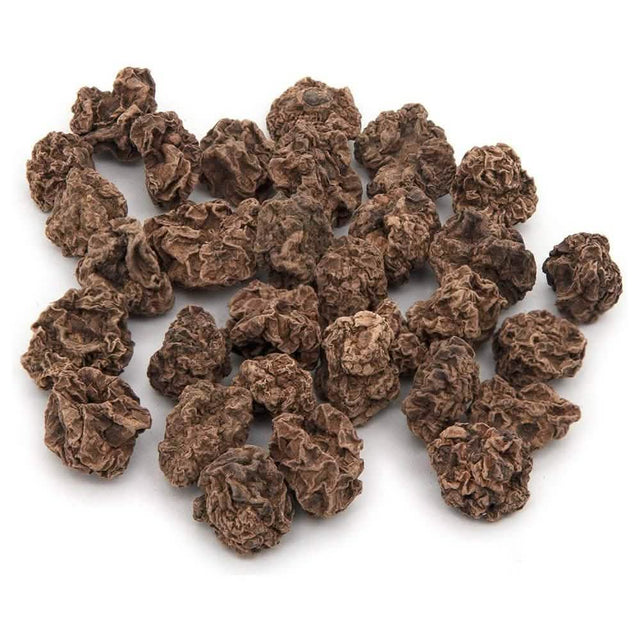 Best Pet Silvervine Dried Fruit Galls 40g