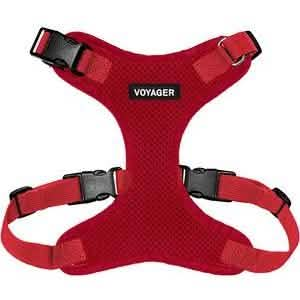 Harnesses