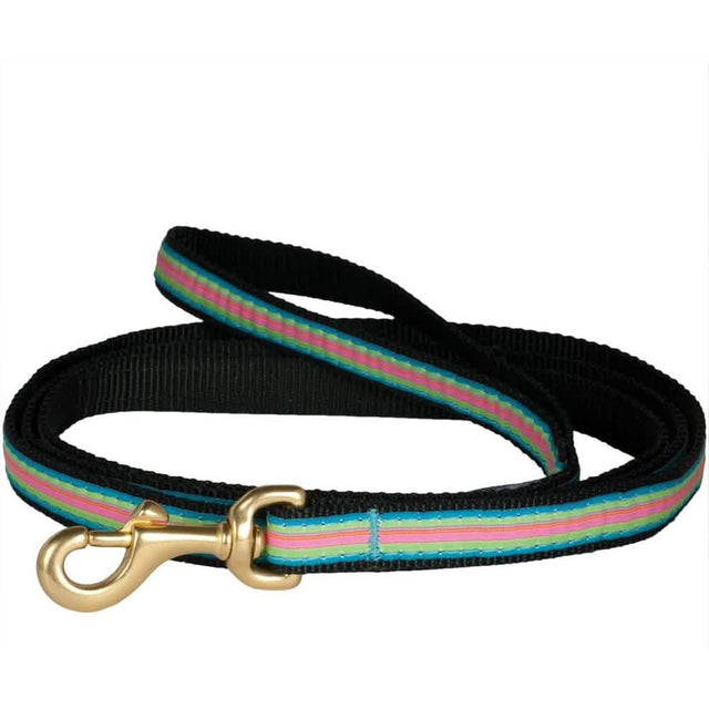 Up Country 4' Narrow Rainbow Heart Lead for Dogs