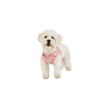 Puppia Verna Dog Harness B, Size Large, Pink Color