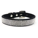 Dogo Pet VIP Bling Dog Collar in Black, Small Size