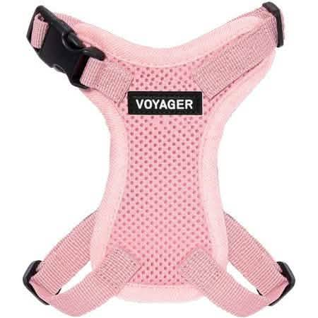 Voyager Harness Step In Lock Pink with Pink Trim XXS