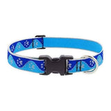 Lupine Adjustable Dog Collar, 1 Inch Width, 12-20 Inch Size, Blue Paws Design